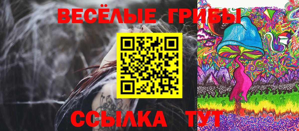 Псилоцибиновые грибы GOLDEN TEACHER  Вход с VPN  Малгобек  Псилоцибиновые грибы Cubensis 